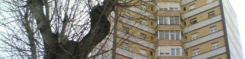 Imagen de secci�n